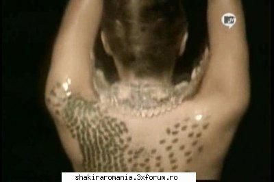 poza hips'dont lie